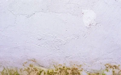 De impact van lekkages op de waarde van uw woning