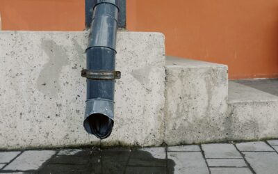 Bladeren in je regenpijp? Zo voorkom je lekkage en verstoppingen
